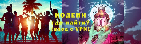 2c-b Инсар